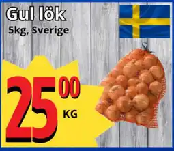 Supergrossen Gul lök erbjuda