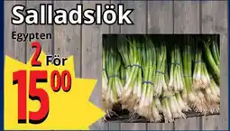 Supergrossen Salladslök erbjuda