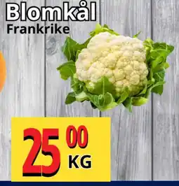 Supergrossen Blomkål erbjuda