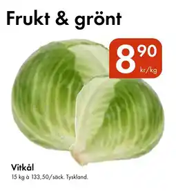 Snabbgross Vitkål erbjuda