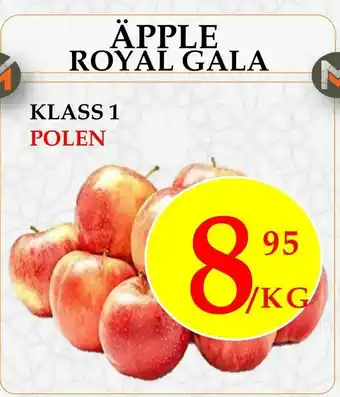 Äpple Royal gala