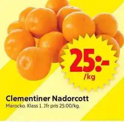 ICA Supermarket Clementiner Nadorcott erbjuda