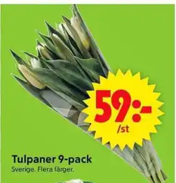 ICA Supermarket Tulpaner erbjuda