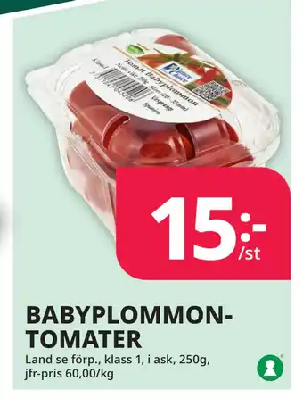 Tempo BABYPLOMMONTOMATER erbjuda