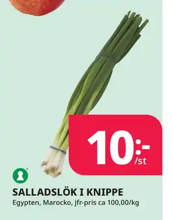 Tempo SALLADSLÖK I KNIPPE erbjuda