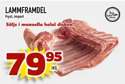 LAMMFRAMDEL