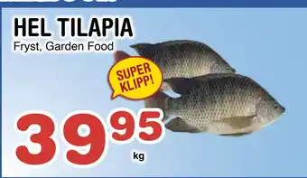 Nya Pulsen HEL TILAPIA erbjuda