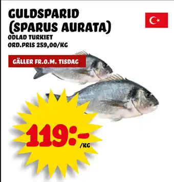 Nelins Guldsparid (Sparus aurata) erbjuda