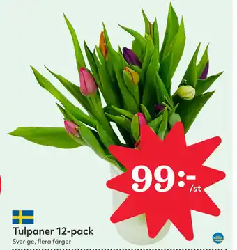 Hemköp Tulpaner 12-pack erbjuda