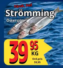 Supergrossen Hel Strömming erbjuda