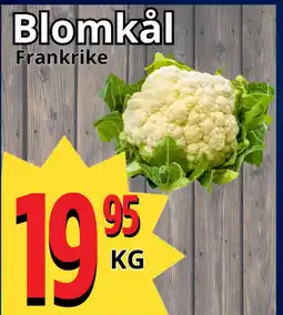 Supergrossen Blomkål erbjuda