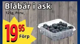 Supergrossen Blåbär i ask erbjuda