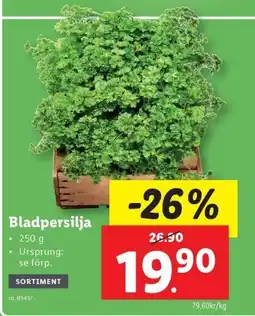 Lidl Bladpersilja erbjuda