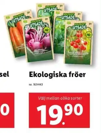 Lidl Ekologiska fröer erbjuda