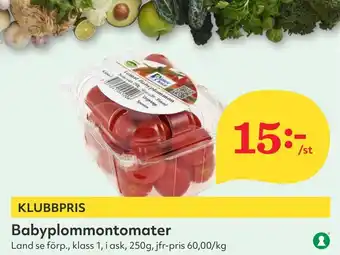 Östenssons Babyplommontomater erbjuda