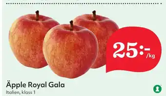 Östenssons Äpple Royal Gala erbjuda