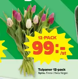 Stora Coop Tulpaner 12-pack erbjuda