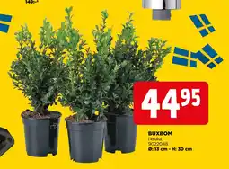 Jem&Fix BUXBOM erbjuda