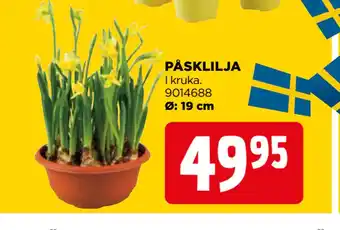 Jem&Fix PÅSKLILJA erbjuda