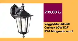 Hornbach Vägglykta lalumi carleen 60w e27 ip44 hängande svart erbjuda