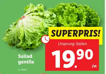 Lidl Ursprung: Italien erbjuda