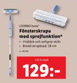 Lidl Fönsterskrapa med sprejfunktion erbjuda