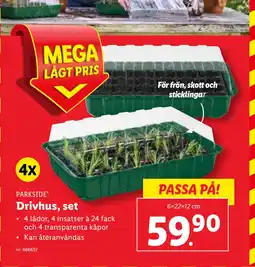 Lidl Drivhus, set erbjuda