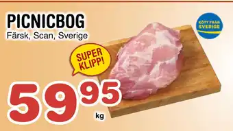 Nya Pulsen PICNICBOG erbjuda