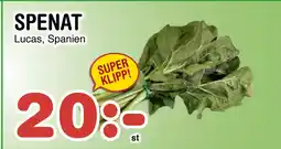 SPENAT