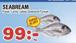 Nya Pulsen SEABREAM erbjuda
