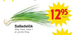 Matöppet Salladslök erbjuda