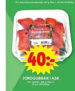 ICA Maxi JORDGUBBAR I ASK erbjuda