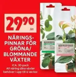 ICA Maxi NÄRINGS- PINNAR FÖR GRÖNA/ BLOMMANDE VÄXTER erbjuda