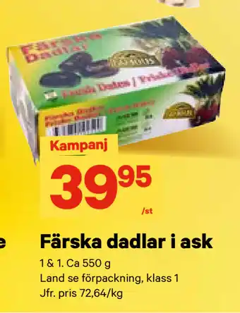 City Gross Färska dadlar i ask erbjuda