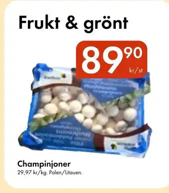 Snabbgross Champinjoner erbjuda