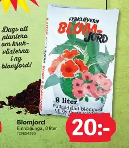 DollarStore Blomjord erbjuda