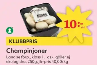 Hemköp Champinjoner erbjuda