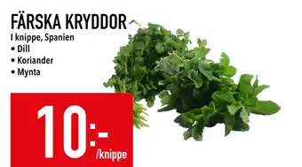 Matdax FÄRSKA KRYDDOR erbjuda