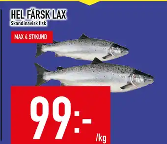 Matdax HEL FÄRSK LAX erbjuda