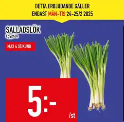 Matdax SALLADSLÖK erbjuda