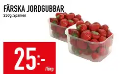 Matdax FÄRSKA JORDGUBBAR erbjuda