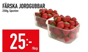 Matdax FÄRSKA JORDGUBBAR erbjuda