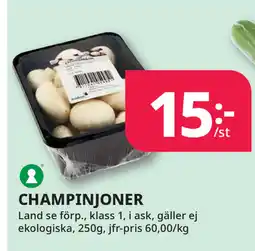 Tempo CHAMPINJONER erbjuda