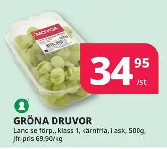 Tempo GRÖNA DRUVOR erbjuda