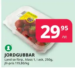 Tempo JORDGUBBAR erbjuda