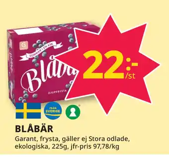 Tempo BLÅBÄR erbjuda