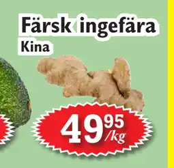 Färsk ingefära