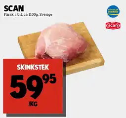 skinkstek