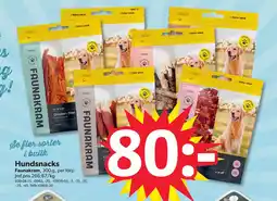 DollarStore Hundsnacks erbjuda