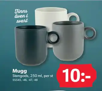 DollarStore Mugg erbjuda